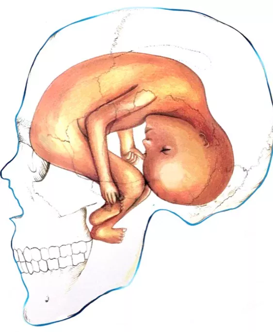 ostéopathie structurelle bébé